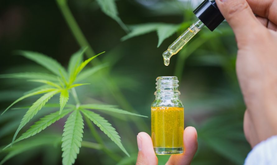 Le CBD présente-t-il des risques?