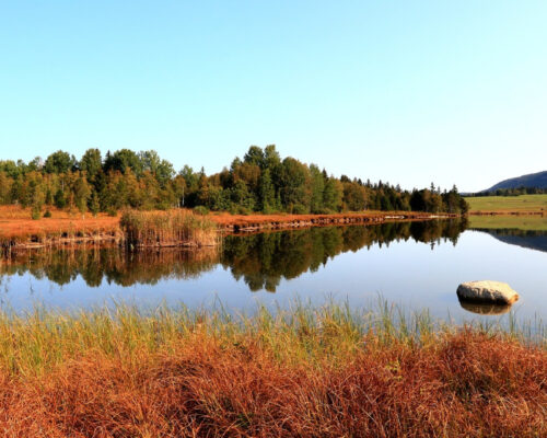 Découvrez les top 5 des activités écoresponsables à faire en Belgique !